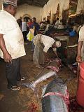 TANZANIA - Zanzibar Stone Town - Fish market - 04